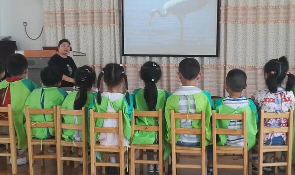 幼儿园公开课优质课大班美术《美丽的丹顶鹤》课堂实录