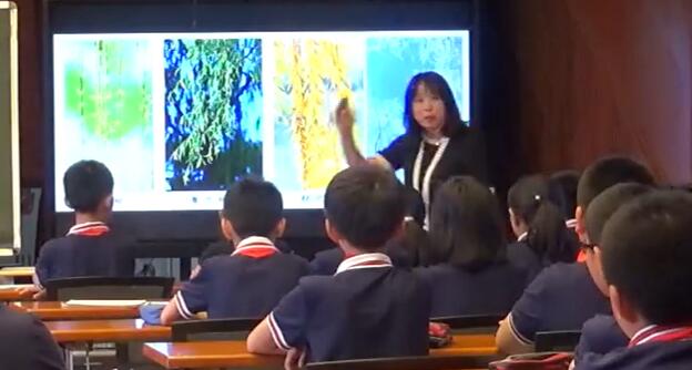  第7单元 习作：____ 即景