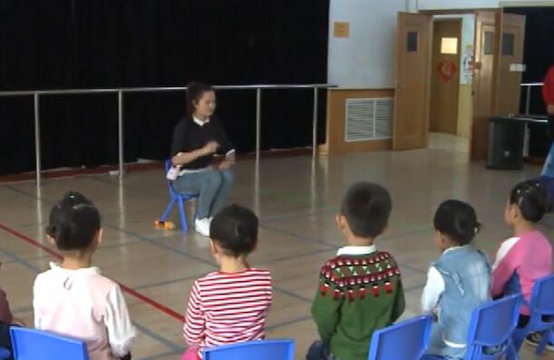 幼儿园公开课优质课大班《小豌豆与大青豆》