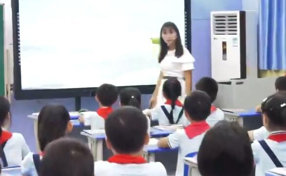 搭船的鸟 教学实录 