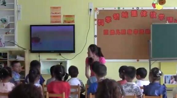 幼儿园公开课优质课小班数学《帮瓢虫找家》课堂实录
