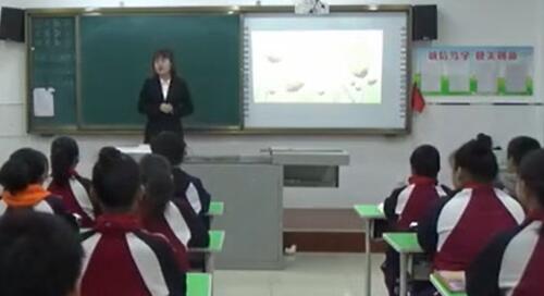  第1单元  花之歌