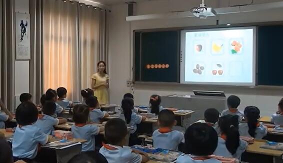 《6和7的认识》（含课件教案） 名师优质课 公开课 教学实录 小学数学 部编版 人教版数学 一年级上册 1年级上册（执教：陈璇）