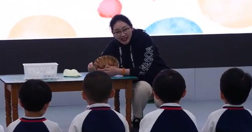 幼儿园公开课优质课小班科学《蛋宝宝，站稳了》课堂实录