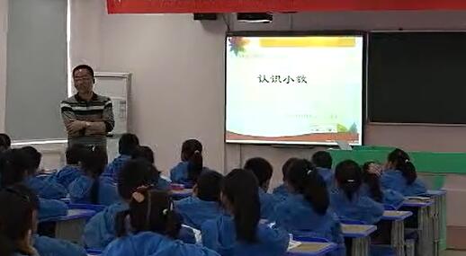 《认识小数》(含课件教案) 名师 优质课 公开课 教学实录 小学数学 人教版数学 三年级下册 3年级下册【陈玉胜】