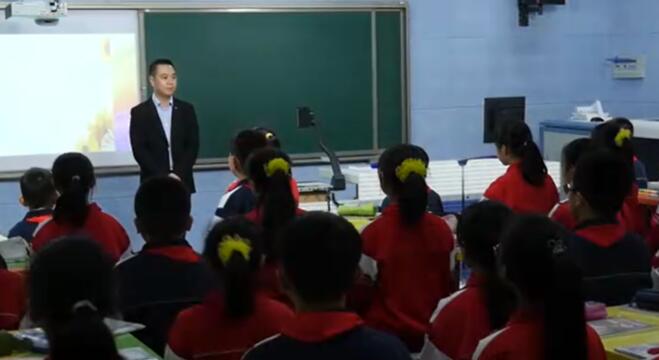 以字引文 教学实录 