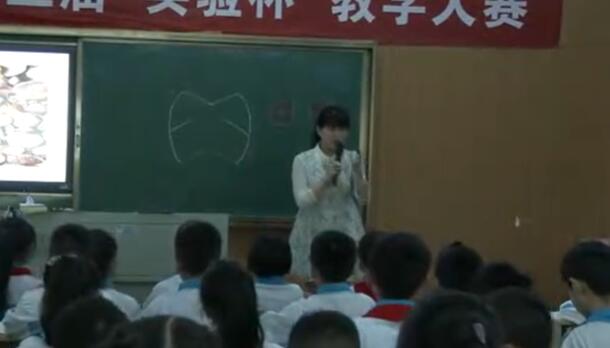《贝的故事》（含课件教案） 名师优质公开课 教学实录 小学语文 部编版 人教版语文 二年级下册 2年级下册【熊老师】