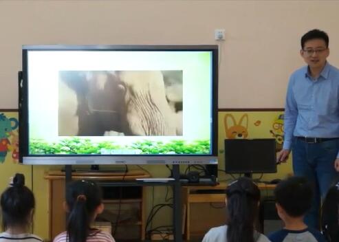 幼儿园公开课优质课大班科学《动物本领大搜索》课堂实录