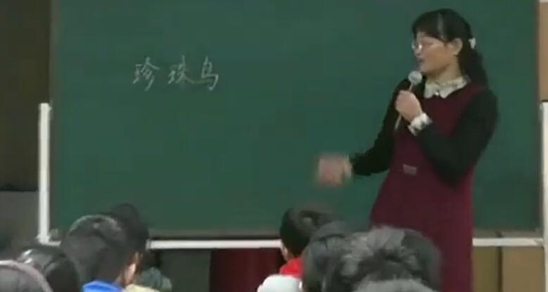  第1单元 珍珠鸟