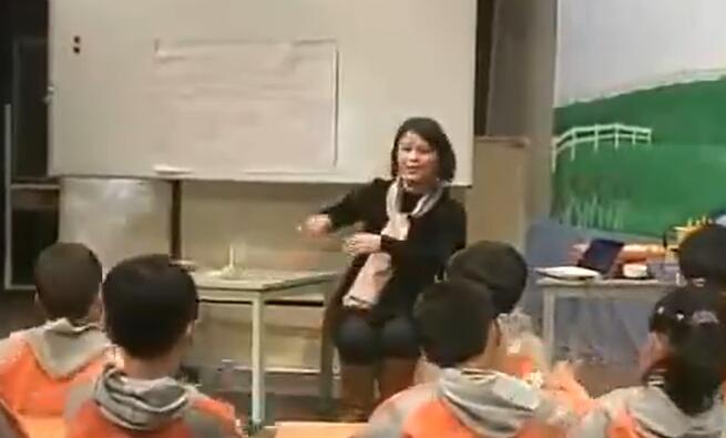 幼儿园公开课优质课新课程背景下大班科学活动《会倒立的小丑》...