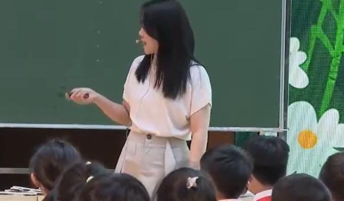 Unit 4 C Make a paper garden广东顺德德胜学校梁源