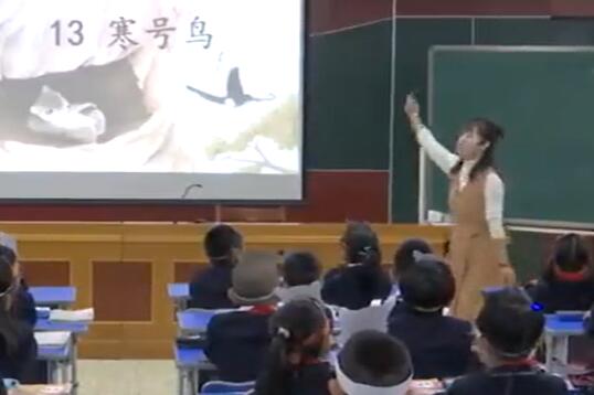 《13 寒号鸟》--省级--魏老师