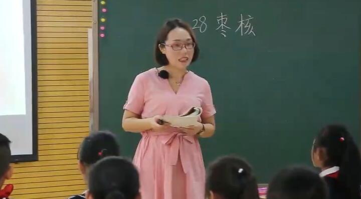《枣核》（含课件教案） 名师优质公开课 教学实录 小学语文 部编版 人教版语文 三年级下册 3年级下册【陈蕾】