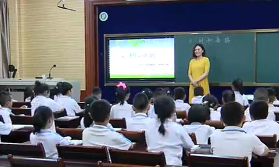 《树和喜鹊》（含课件教案） 名师优质公开课 教学实录 小学语文 部编版 人教版语文 一年级下册 1年级下册【吕晓冉】