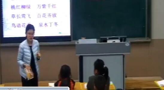 《找春天》（含课件教案） 名师优质公开课 教学实录 小学语文 部编版 人教版语文 二年级下册 2年级下册【王雯雯】