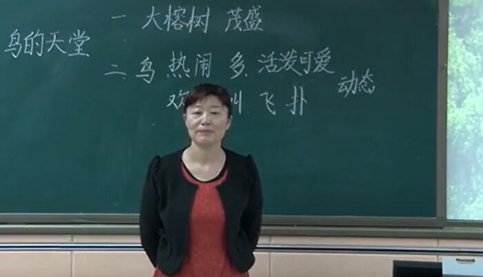  第7单元  鸟的天堂