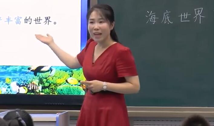 海底世界 教学实录 三