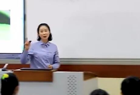 《昆虫备忘录》（含课件教案） 名师优质公开课 教学实录 小学语文 部编版 人教版语文 三年级下册 3年级下册【羊英君】