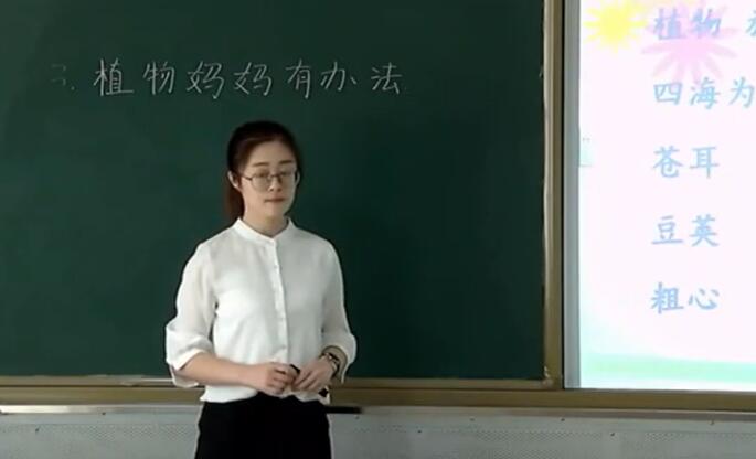 植物妈妈有办法【孙老师】