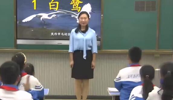  第1单元 白鹭