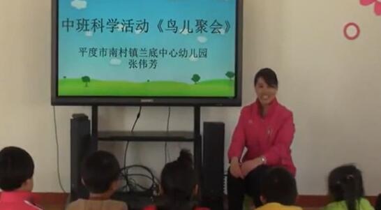 幼儿园公开课优质课中班科学《鸟儿聚会》