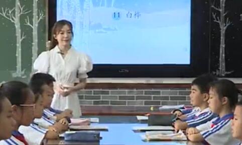 《白桦》（含课件教案） 名师优质公开课 教学实录 小学语文 部编版 语文 四年级下册 4年级下册【郑老师】