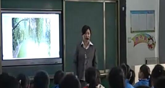 《古诗二首——咏柳》（含课件教案） 名师优质公开课 教学实录 小学语文 部编版 人教版语文 二年级下册 2年级下册【赵艳丽】