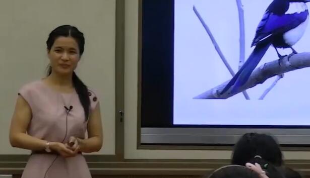 《枫树上的喜鹊》（含课件教案） 名师优质公开课 教学实录 小学语文 部编版 人教版语文 二年级下册 2年级下册【黎春兰】