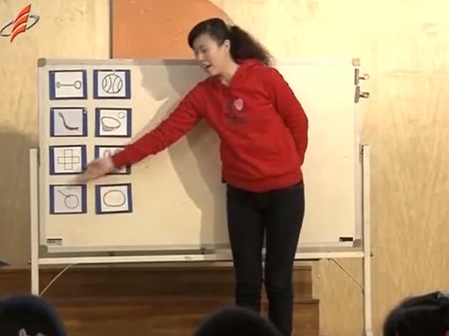 幼儿园公开课优质课N10-大班科学《小小调查员》+视频