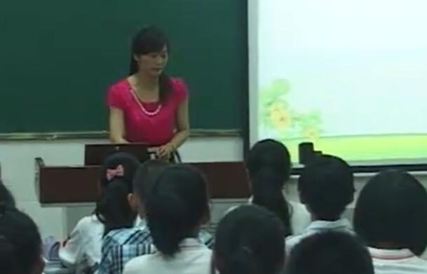 《约分》(含课件教案) 名师 优质课 公开课 教学实录 小学数学 人教版数学 五年级下册 5年级下册【龚老师】