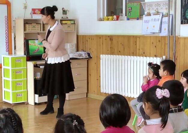 幼儿园公开课优质课中班语言《漂亮的皮鞋车》