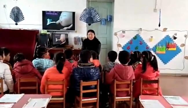 幼儿园公开课优质课大班语言《妈妈的肚脐》课堂实录